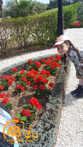 re7la shamal tamer (3).jpg